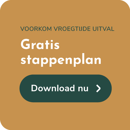 Vroegtijdige uitval mbo stappenplan